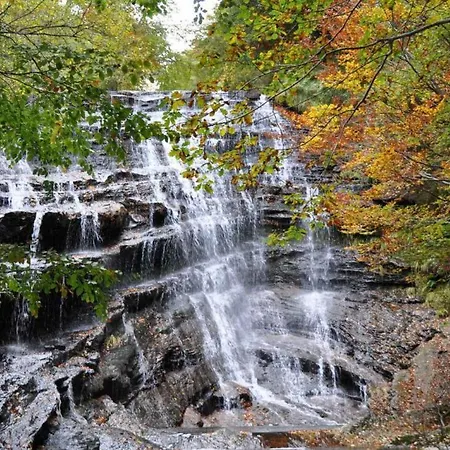 Biendella La Bella La Casa Entera * Torme