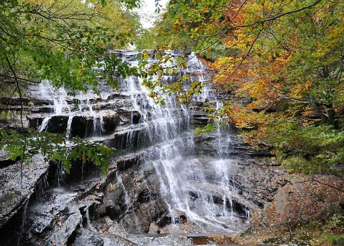 Biendella La Bella La Casa Entera * Torme